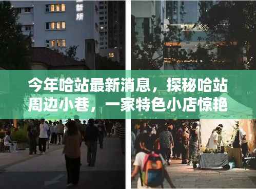 哈站周边小巷隐藏一家特色小店,独特环境惊艳亮相,等你来探秘!