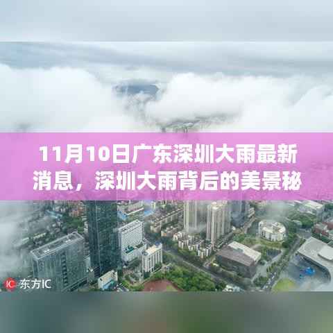 广东深圳暴雨背后的美景秘境,心灵洗涤之旅