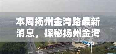 扬州金湾路探秘,小巷深处的独特风味——揭秘隐藏版特色小店
