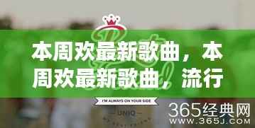 在线留言 第255页
