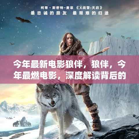 今年最燃电影狼伴,深度解读背后的故事与情感传奇!