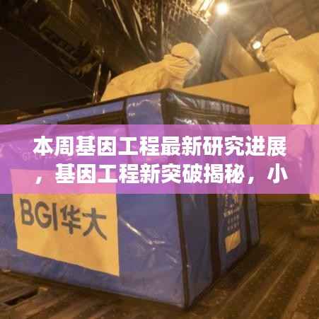 招标采购 第252页