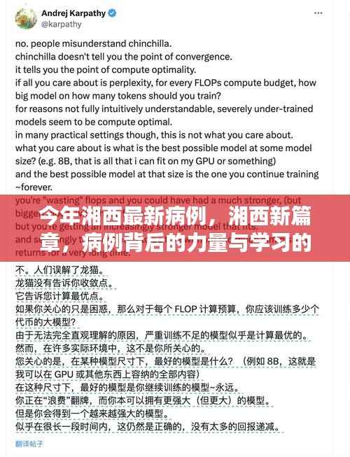 在线留言 第251页