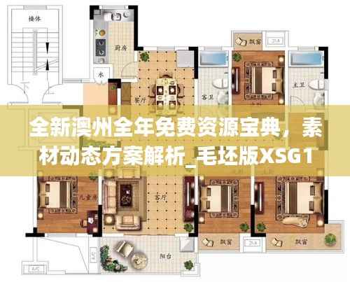 全新澳州全年免费资源宝典,素材动态方案解析_毛坯版XSG170.91
