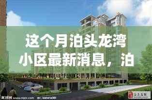 泊头龙湾小区本月新鲜事,邻里温情与欢乐日常