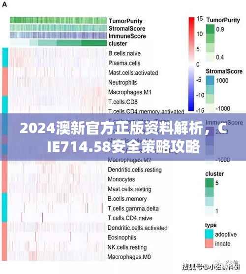 2024澳新官方正版资料解析,CIE714.58安全策略攻略