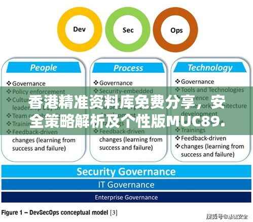 香港精准资料库免费分享，安全策略解析及个性版MUC89.16攻略