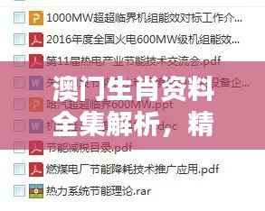 澳门生肖资料全集解析,精编版NOS784.89最佳解读
