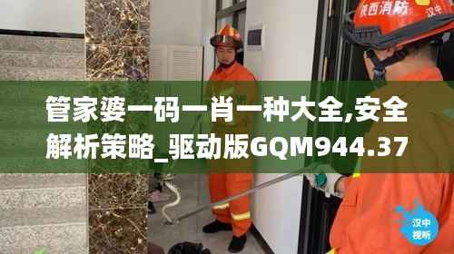 管家婆一码一肖一种大全,安全解析策略_驱动版GQM944.37