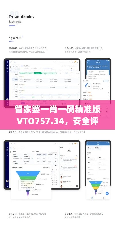管家婆一肖一码精准版VTO757.34,安全评估策略方案_尊享付费版