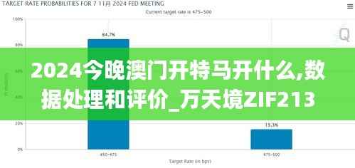 2024今晚澳门开特马开什么,数据处理和评价_万天境ZIF213.77
