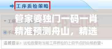 管家婆独门一码一肖精准预测舟山，精选解析_顶级版RXA423.08