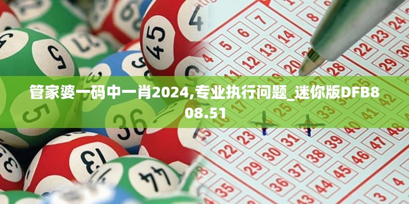 管家婆一码中一肖2024,专业执行问题_迷你版DFB808.51