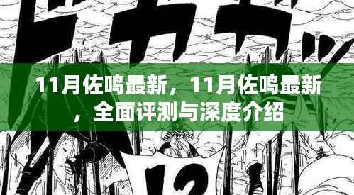 11月佐鸣最新，全面评测与深度介绍