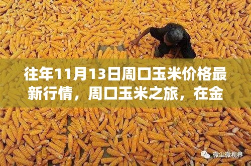 往年11月13日周口玉米价格更新,田野探索与内心宁静之旅