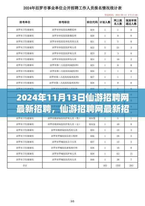 2024年11月13日仙游招聘网最新动态,聚焦人才市场热点
