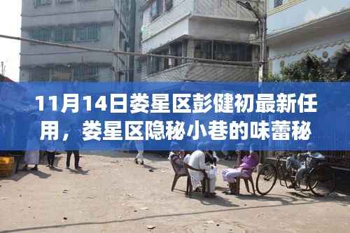 娄星区新任彭健初揭秘,小巷美食背后的故事与任命轨迹