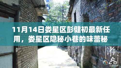 娄星区新任彭健初揭秘,小巷美食背后的故事与任命轨迹