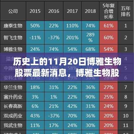 博雅生物股票揭秘，历史与现代的交融奇迹，探寻小巷深处的独特宝藏