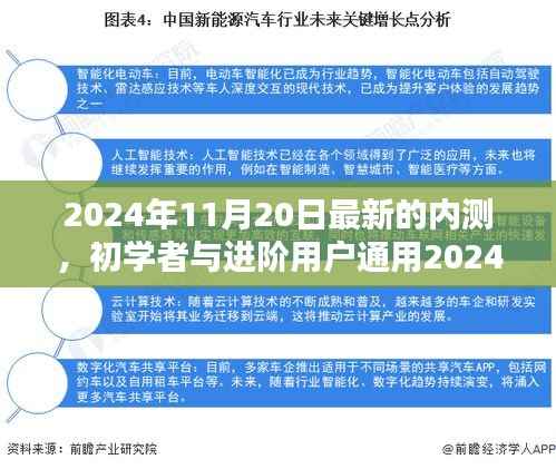初学者与进阶用户通用，最新内测任务完成指南（2024年11月20日版）