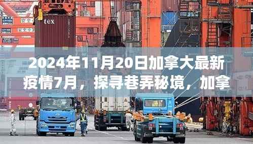 公司概况 第188页