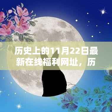历史上的11月22日与最新在线福利网址，多方观点深度探析
