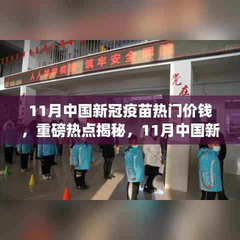 揭秘！11月中国新冠疫苗价格走势及热门价格揭秘！