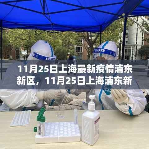 上海浦东新区最新疫情动态解析及实时更新(11月25日)