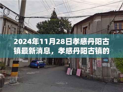 孝感丹阳古镇秋日奇遇,最新消息与温馨时光纪实(2024年11月28日)