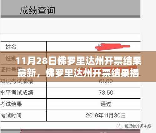 佛罗里达州开票结果揭晓,新篇章下的政治风云及其影响