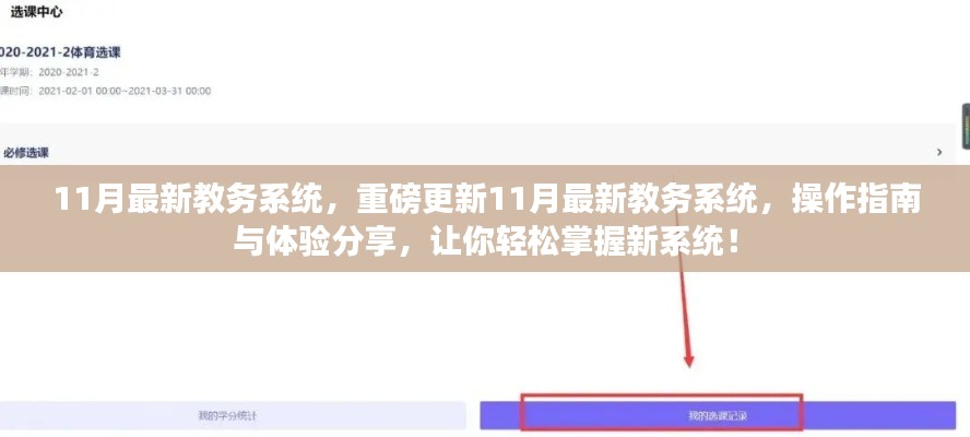 11月教务系统重磅更新,操作指南与体验分享,助你轻松掌握新系统!
