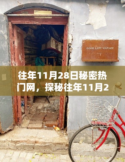 探秘往年11月28日小巷深处的秘密热门网,独特小店的魅力之旅