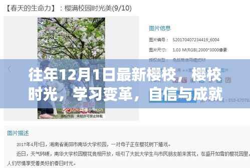 十二月绽放,樱校时光里的学习变革与自信成就的种子