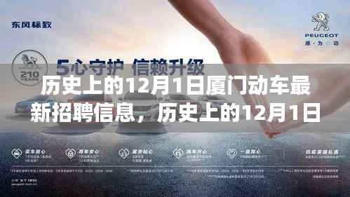 厦门动车招聘新动态及历史解读,特性、体验与竞品对比的全方位观察