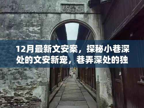 探秘文安案,巷弄深处的独特风味小店新宠