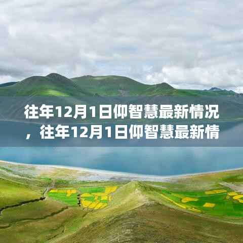 往年12月1日仰智慧最新情况详解，初学者与进阶用户的探索步骤指南