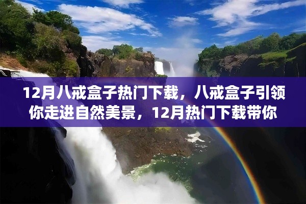 八戒盒子引领心灵之旅,12月热门下载开启自然美景探索之旅