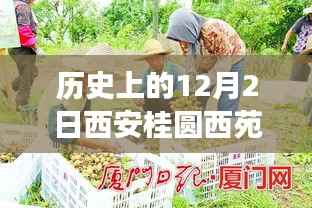 历史上的今天,西安桂圆西苑科技新品重磅发布,智能革命风暴掀起未来科技新生活体验