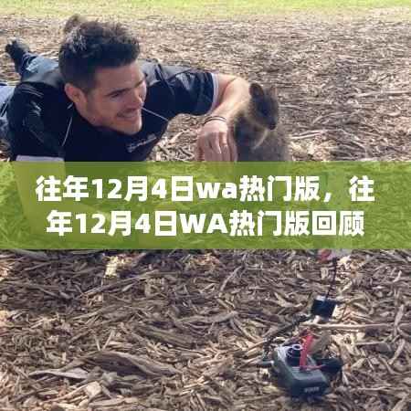 往年12月4日WA热门版回顾,热点、趋势与深度解析