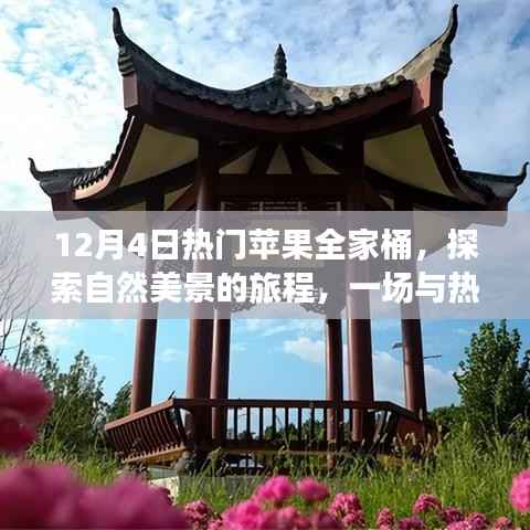 苹果全家桶冬日之旅,探索自然美景的奇妙邂逅