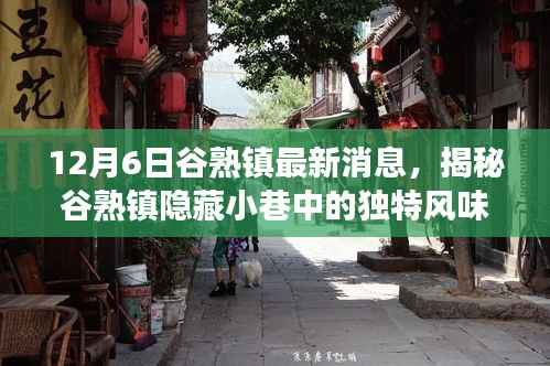 谷熟镇特色小店揭秘,隐藏小巷的独特风味最新故事