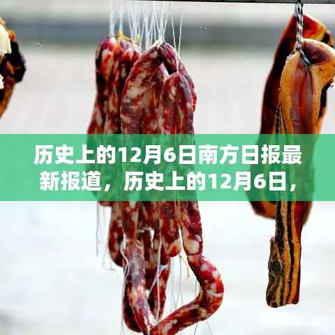 历史上的12月6日,南方日报深度揭示南北差异与观点碰撞