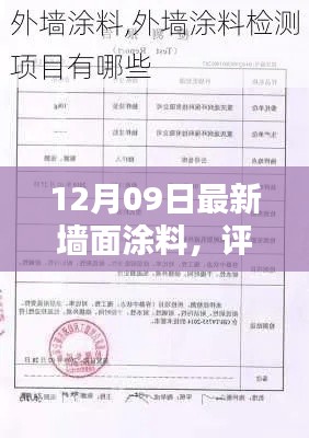 最新墙面涂料评测报告,全面解析12月09日流行趋势