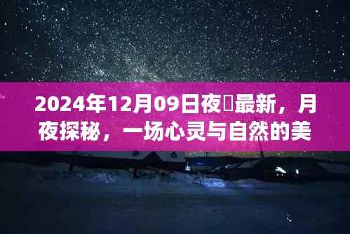 月夜探秘,心灵与自然的邂逅——记2024年12月09日夜廻之旅