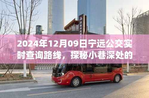 探秘宁远公交美食秘境,2024年12月09日宁远公交实时查询路线与隐藏特色小店之旅