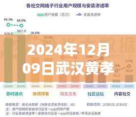 武汉黄孝西路实时监控评测报告与项目介绍(2024年最新版)