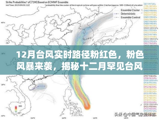 揭秘十二月罕见台风路径与影响,粉色风暴来袭,实时路径大揭秘