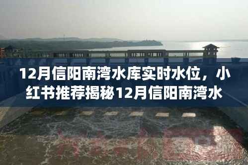 九死一生 第5页