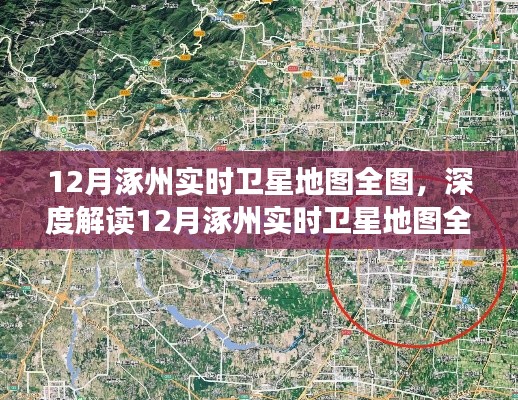 肝胆相照 第4页