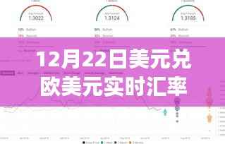 美元与欧元邂逅绿色之旅,汇率波动下的自然美景实时汇率观察